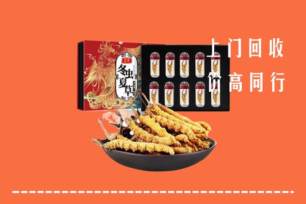 平顶山回收虫草